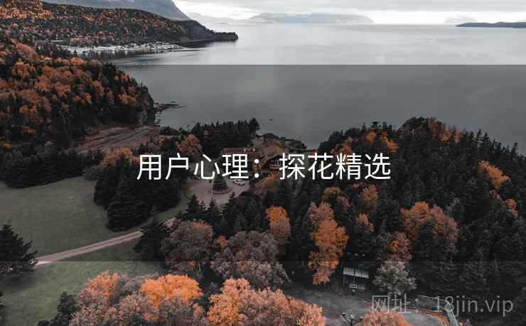 用户心理：探花精选  第1张