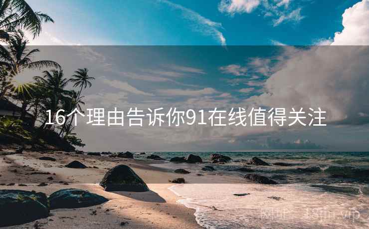 16个理由告诉你91在线值得关注  第1张