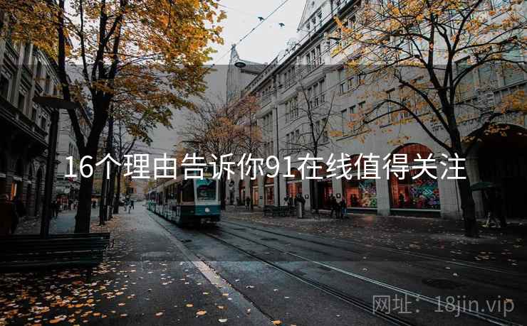 16个理由告诉你91在线值得关注  第2张
