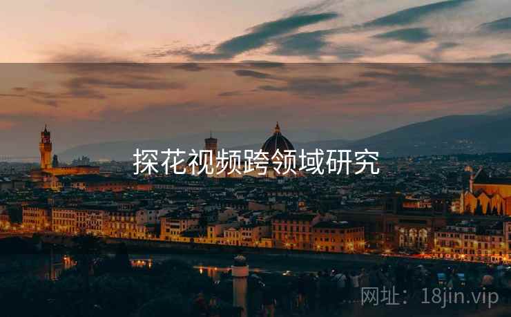 探花视频跨领域研究  第1张