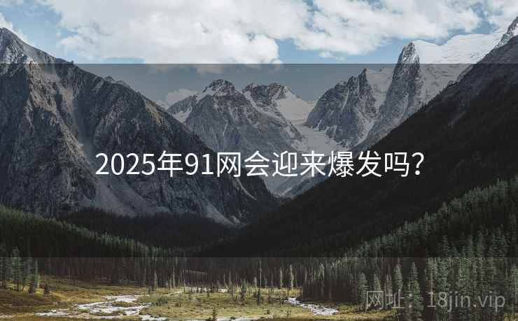 2025年91网会迎来爆发吗？  第2张