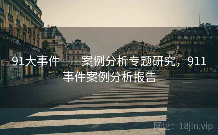 91大事件——案例分析专题研究，911事件案例分析报告  第1张