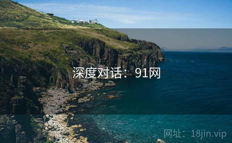 深度对话：91网  第1张