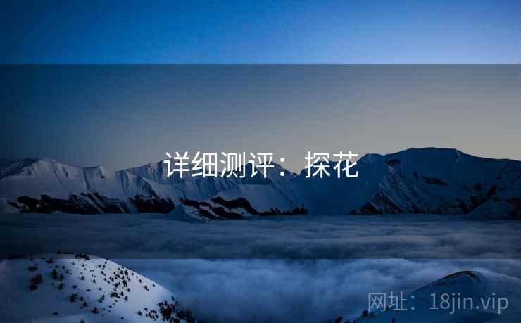 详细测评：探花  第2张