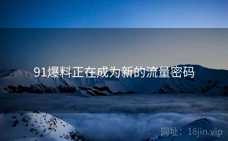 91爆料正在成为新的流量密码  第2张
