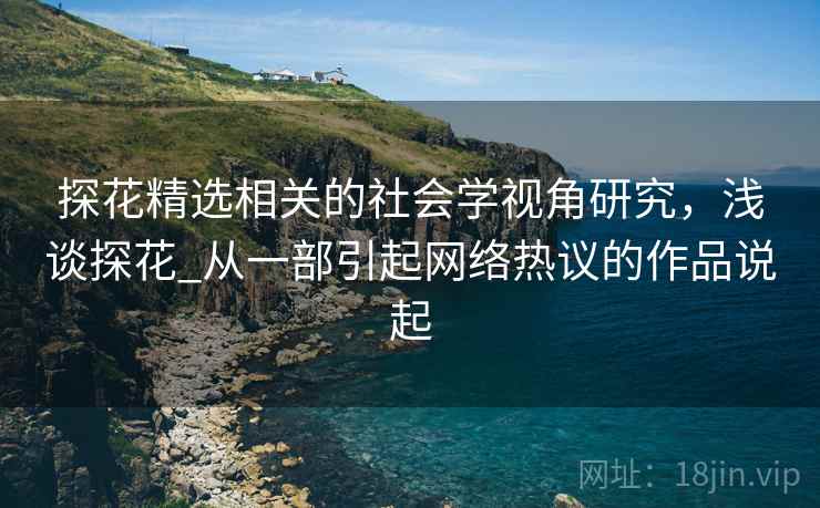 探花精选相关的社会学视角研究，浅谈探花_从一部引起网络热议的作品说起  第2张