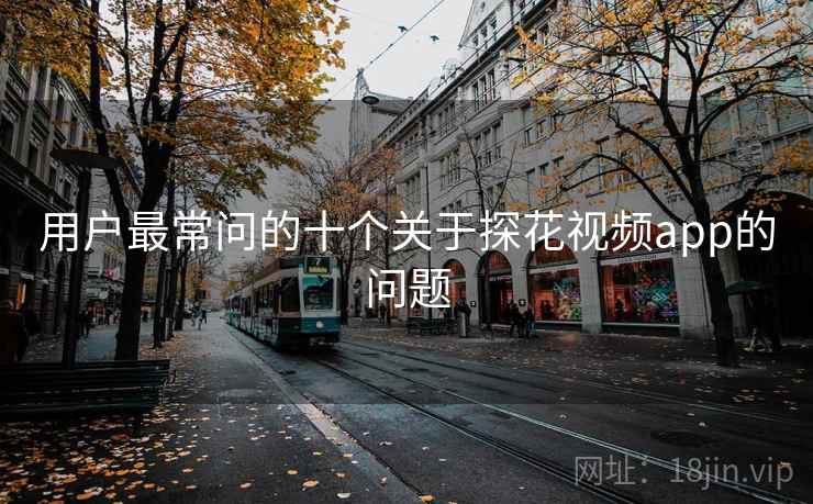 用户最常问的十个关于探花视频app的问题  第2张