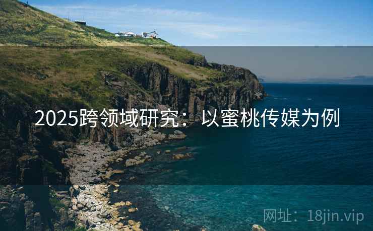2025跨领域研究：以蜜桃传媒为例  第2张
