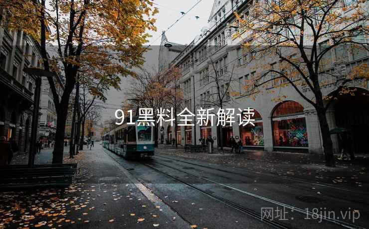 91黑料全新解读  第2张