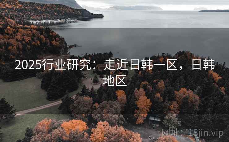 2025行业研究：走近日韩一区，日韩地区  第1张