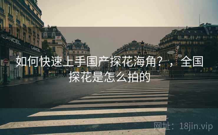 如何快速上手国产探花海角？，全国探花是怎么拍的  第1张