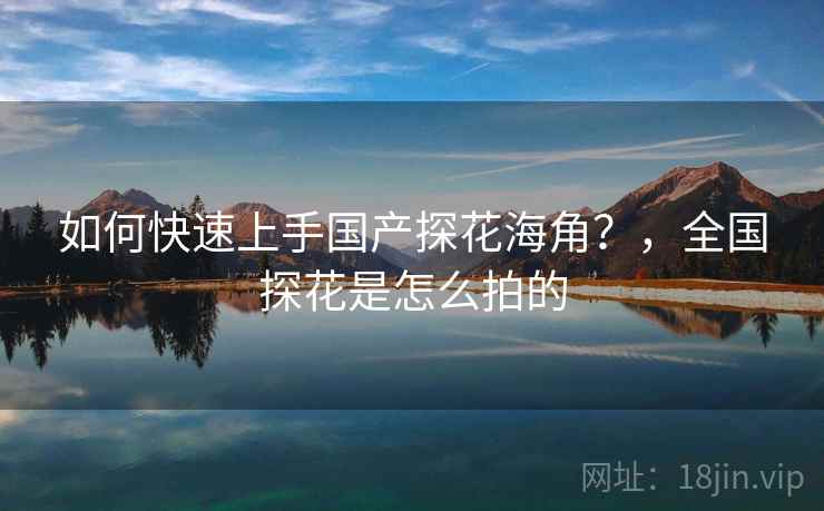 如何快速上手国产探花海角？，全国探花是怎么拍的  第2张