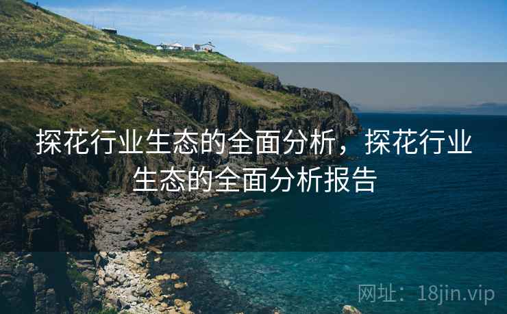 探花行业生态的全面分析，探花行业生态的全面分析报告  第2张