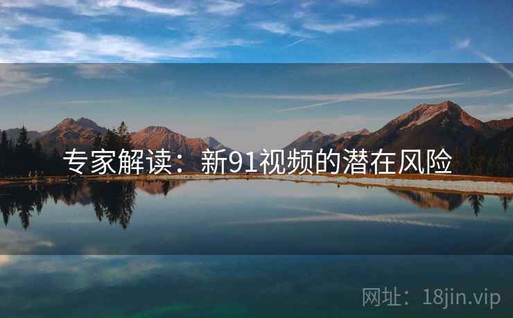 专家解读：新91视频的潜在风险  第1张
