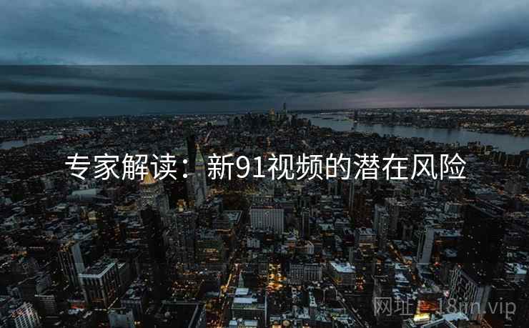 专家解读：新91视频的潜在风险  第2张