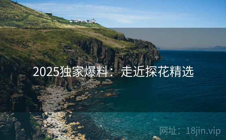 2025独家爆料：走近探花精选  第2张