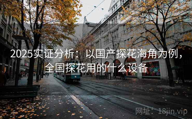 2025实证分析：以国产探花海角为例，全国探花用的什么设备  第1张