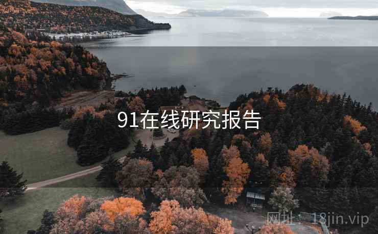 91在线研究报告  第2张