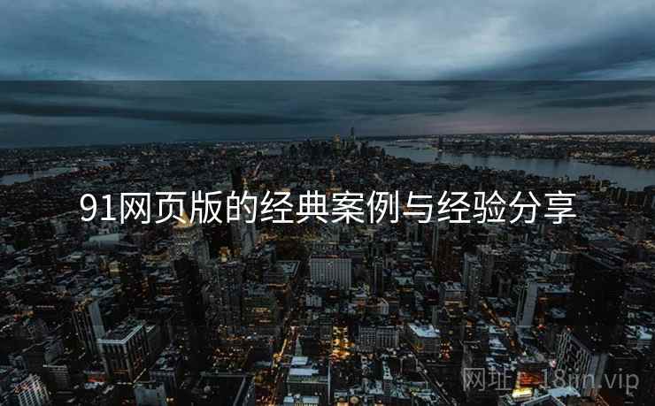 91网页版的经典案例与经验分享  第2张