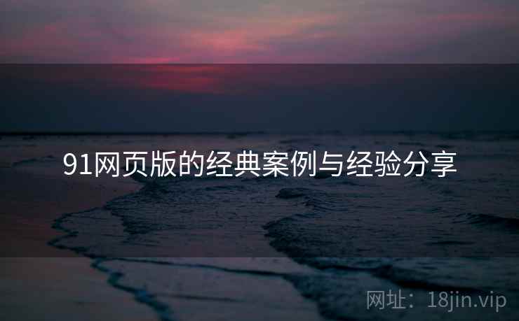 91网页版的经典案例与经验分享  第1张