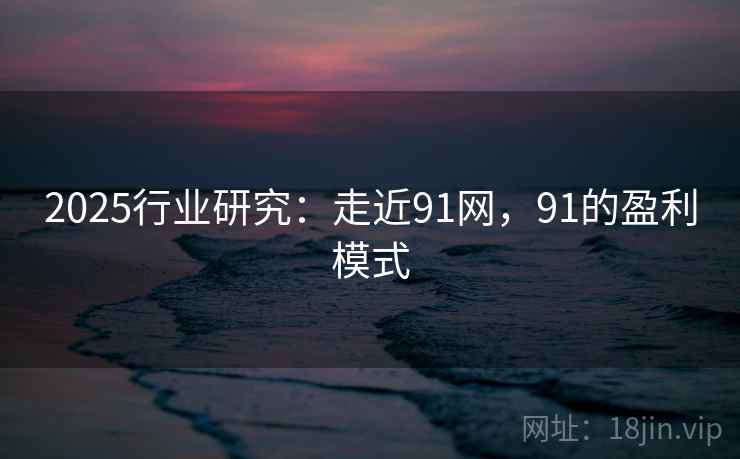 2025行业研究：走近91网，91的盈利模式  第1张