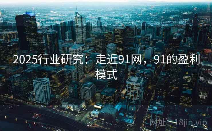 2025行业研究：走近91网，91的盈利模式  第2张