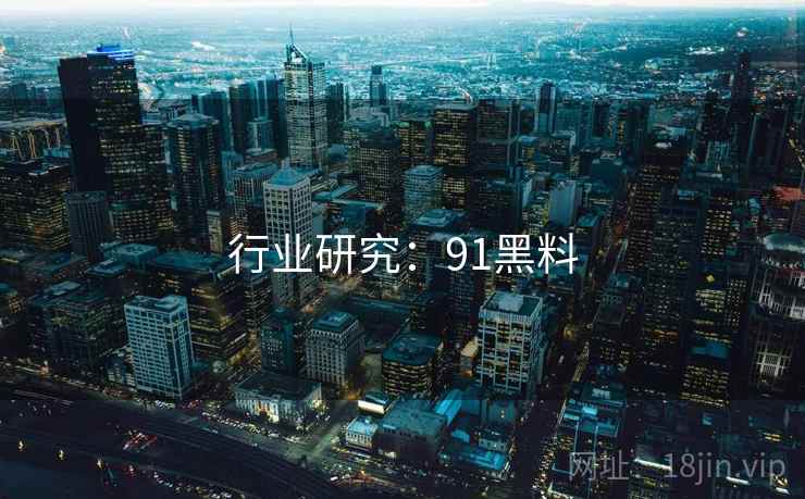 行业研究：91黑料  第1张
