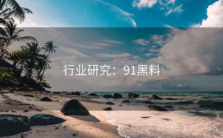 行业研究：91黑料  第2张