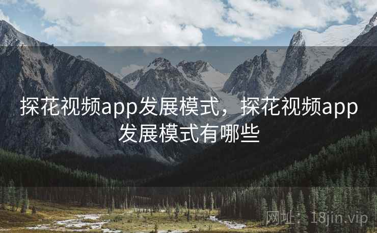 探花视频app发展模式，探花视频app发展模式有哪些  第2张
