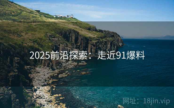 2025前沿探索：走近91爆料  第1张