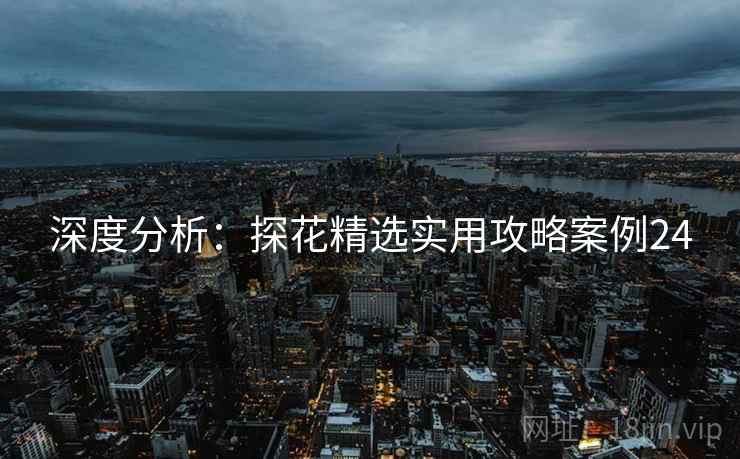 深度分析：探花精选实用攻略案例24  第2张