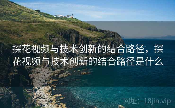探花视频与技术创新的结合路径，探花视频与技术创新的结合路径是什么  第2张