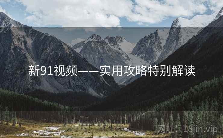 新91视频——实用攻略特别解读  第1张
