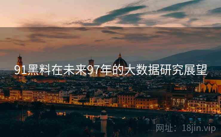 91黑料在未来97年的大数据研究展望  第2张
