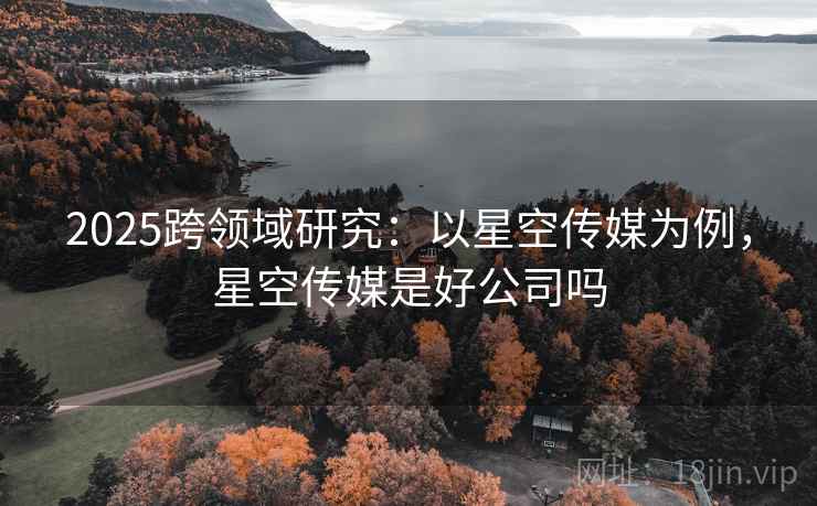 2025跨领域研究：以星空传媒为例，星空传媒是好公司吗  第2张
