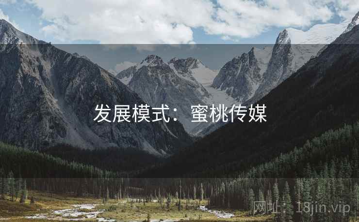 发展模式：蜜桃传媒  第1张