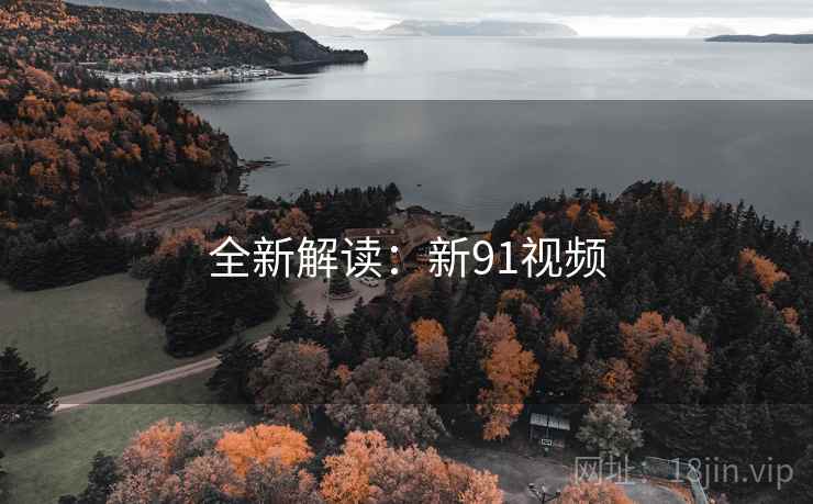 全新解读：新91视频  第2张