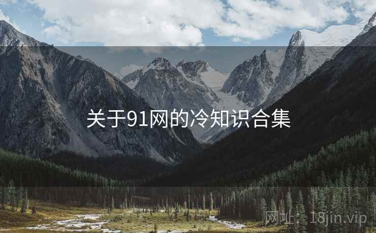 关于91网的冷知识合集