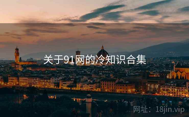 关于91网的冷知识合集